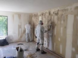 Why You Should Choose Our Mold Remediation Services in Dolgeville, NY